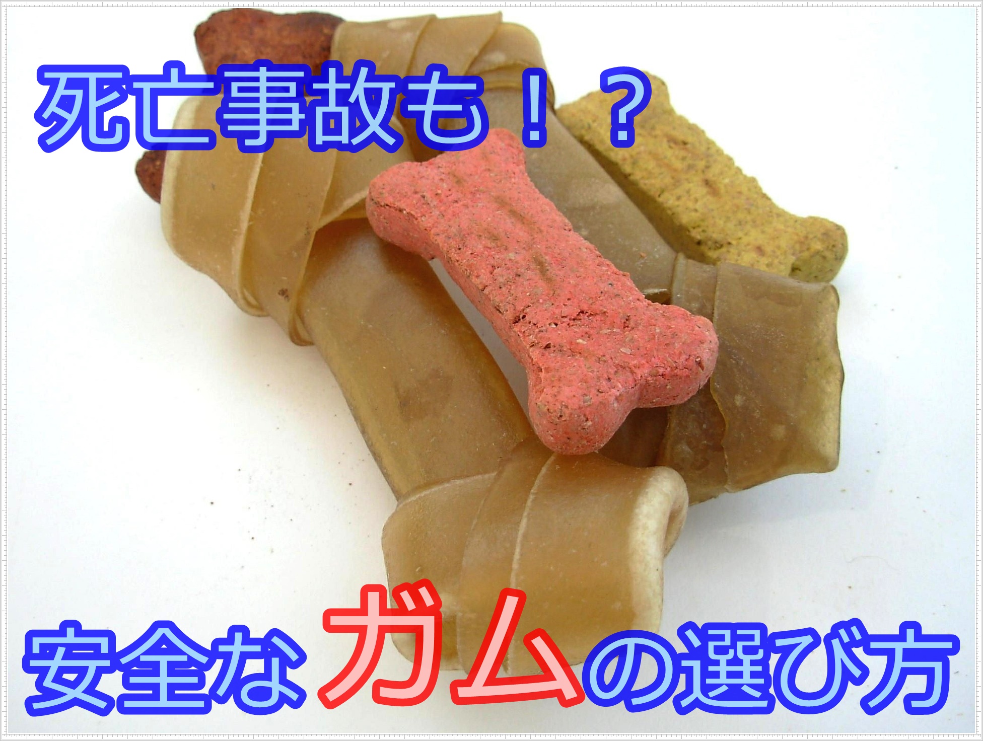 犬用のガムで死亡事故って本当 真相と正しい選び方 おすすめを解説 Maccoの柴犬 Funブログ