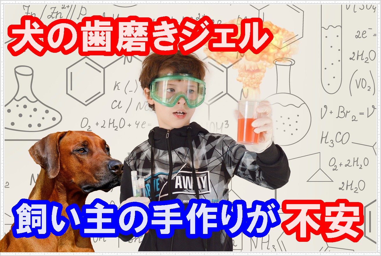 犬の歯磨きジェルの手作りの方法とメリット デメリットを詳しく解説 Maccoの柴犬 Funブログ