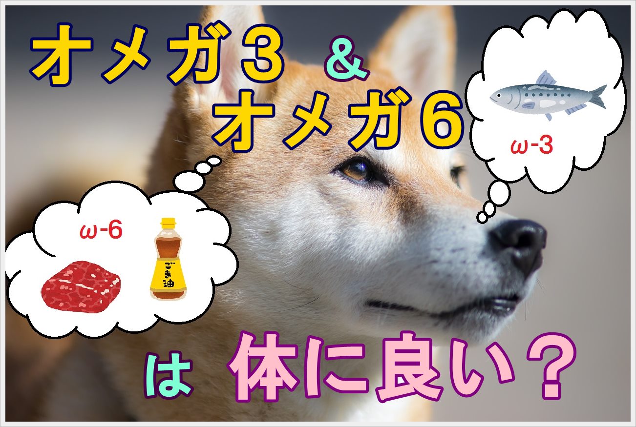 オメガ3脂肪酸とオメガ6脂肪酸入りのドッグフードって体にいいの 犬の管理士が徹底解説 Maccoの柴犬 Funブログ
