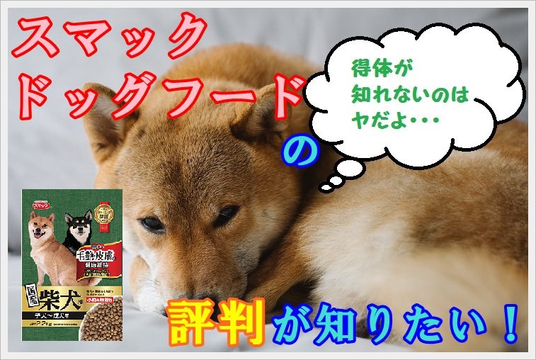 スマックドッグフードを口コミ評判をもとに犬の管理栄養士が徹底解説! – Maccoの柴犬 Funブログ