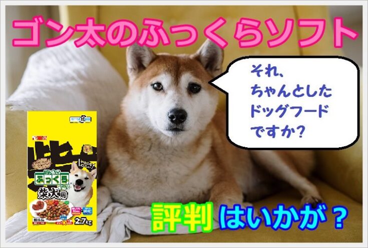 ゴン太のふっくらソフト柴犬用を口コミ評判をもとに犬の管理栄養士が徹底解説! – Maccoの柴犬 Funブログ