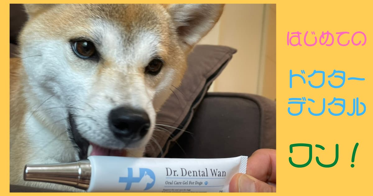 ドクターデンタルワンは怪しい リアル口コミ評判から犬の管理栄養士が徹底解説 Maccoの柴犬 Funブログ